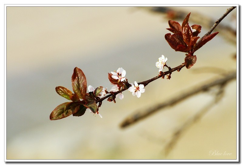 冬去春来有一年！