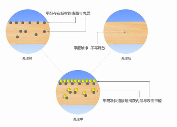 家居甲醛异味来源与清除