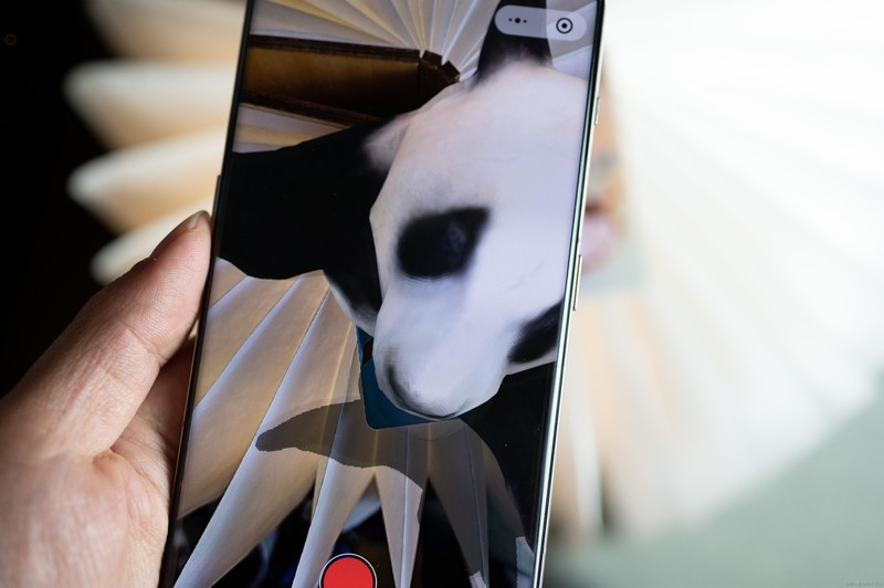 用“花花·普罗卡”随时撸大熊猫，一张连接人与自然的智慧卡片