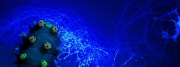 家用超声波清洗机哪个品牌好用？四款众人口口相传的品牌力荐