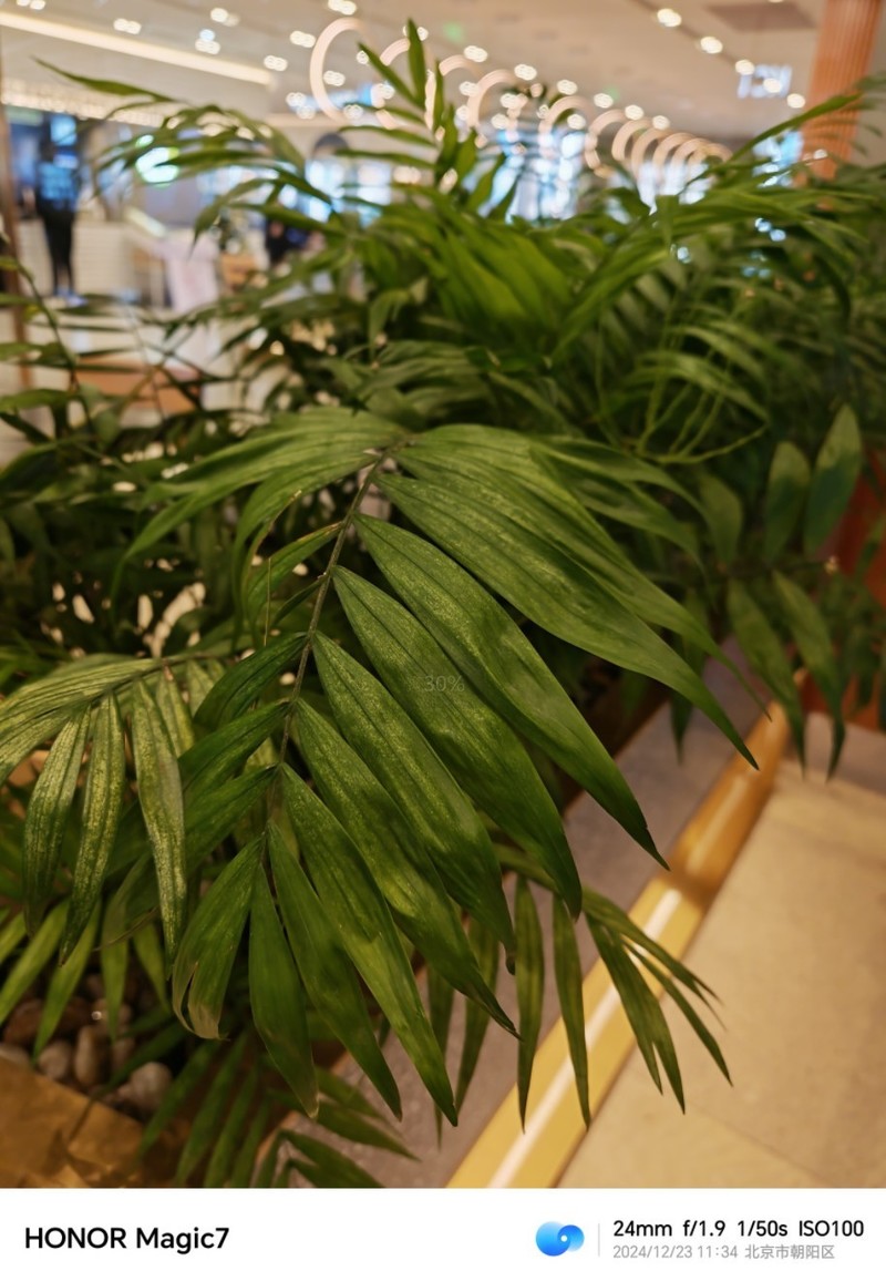 猝不及防！荣耀放大招，magic7系列卖的最好的竟然是标准版