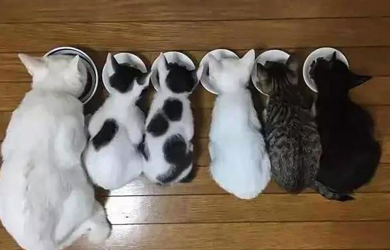 千元内仓储式喷墨打印机，家长必备的“助学神器”