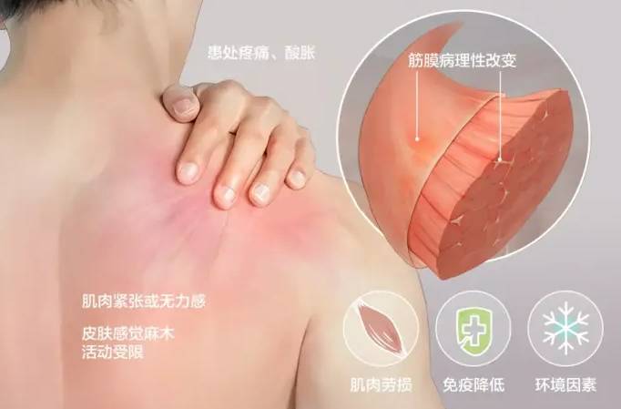 人体工学椅哪个牌子比较好？实测推荐十大公认最好的学生椅
