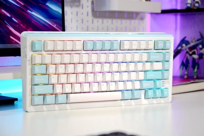 小清新桌搭配了达尔优A81，紫金轴的三百档游戏机械键盘，太值了