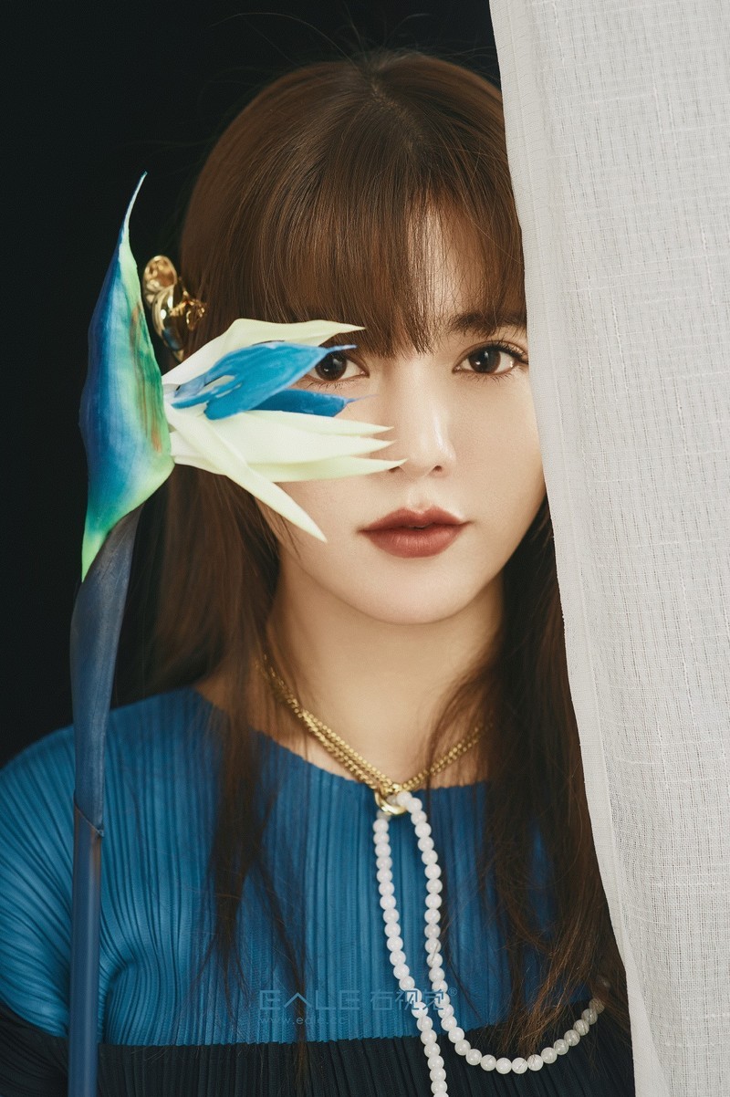 【右视觉摄影】青色 天堂鸟 阿兰