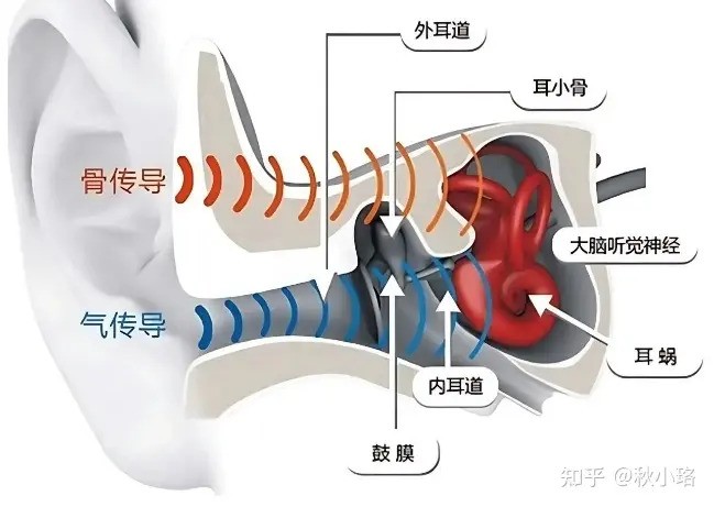 2025千元机开放式耳机选购！主流开放式耳机指南！内有骨聆小飞豆、韶音动钛圈、华为Fr