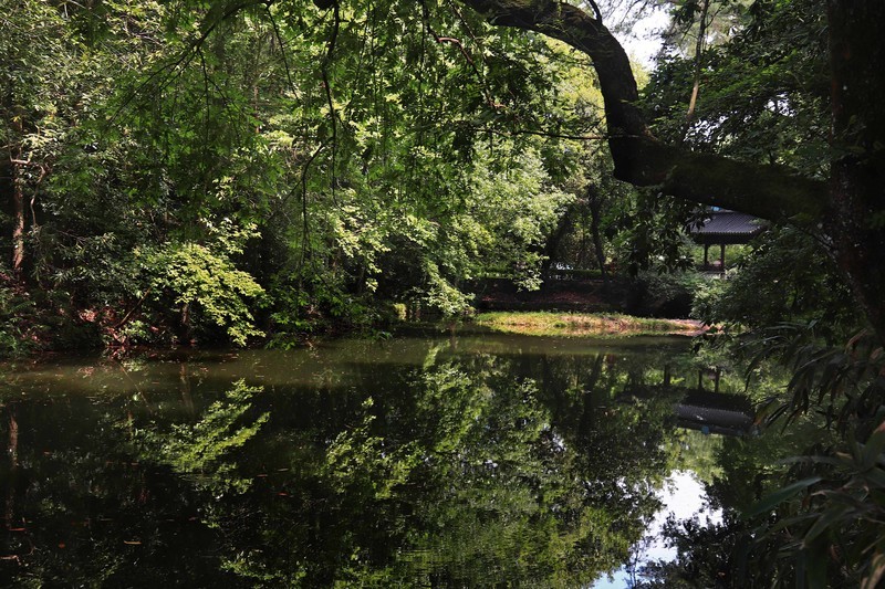 浙江雪窦山千丈岩、妙高台景点（一)