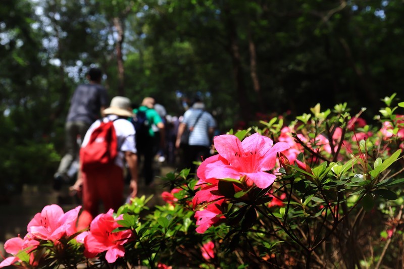 浙江雪窦山千丈岩、妙高台景点（一)