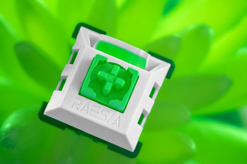 我不是雷蛇，我是瑞翼鲨五行轴