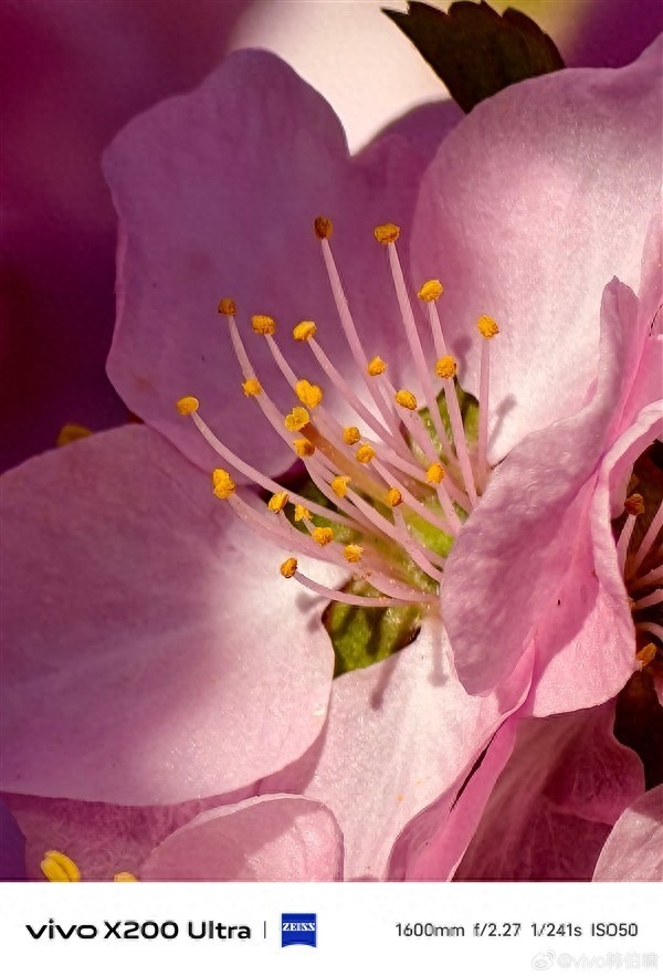 vivo X200 Ultra 70倍长焦样张解析：细节呈现堪称惊艳