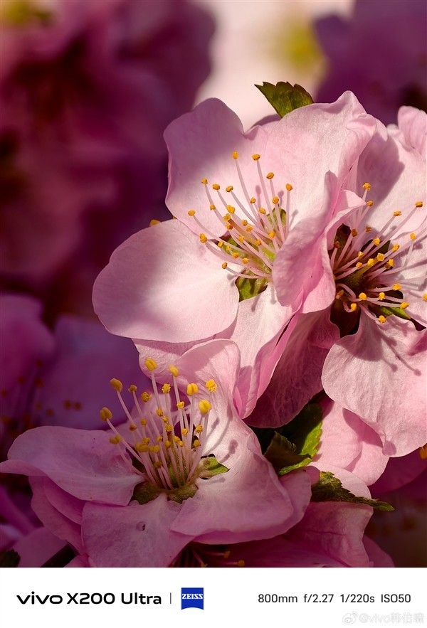 vivo X200 Ultra 70倍长焦样张解析：细节呈现堪称惊艳