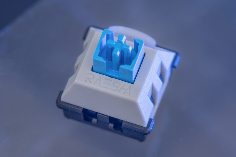 我不是雷蛇，我是瑞翼鲨五行轴