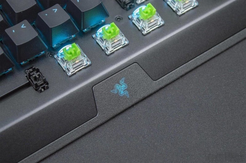 我不是雷蛇，我是瑞翼鲨五行轴