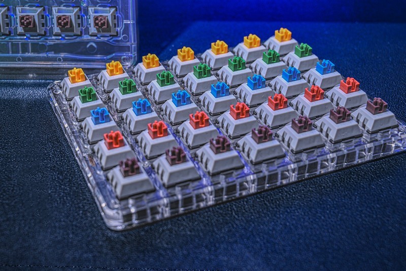 我不是雷蛇，我是瑞翼鲨五行轴