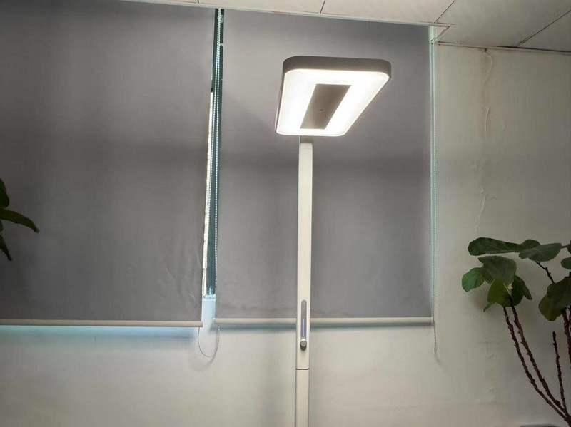 孩视宝大路灯值得买吗？书客、孩视宝、月影护眼大路灯强强对决