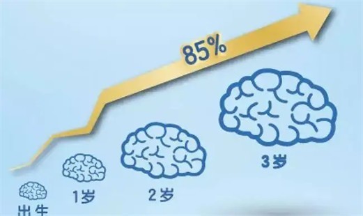你需要知道的DHA的最佳服用时间
