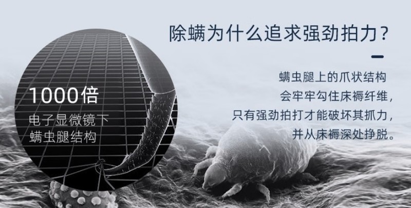 哪款除螨仪清洁效果最好？2025年5款实测效果超棒的除螨仪推荐！