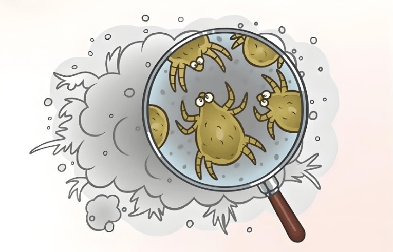 哪个品牌除螨仪性价比高！测评揭晓2025年热门除螨仪排行榜前十名