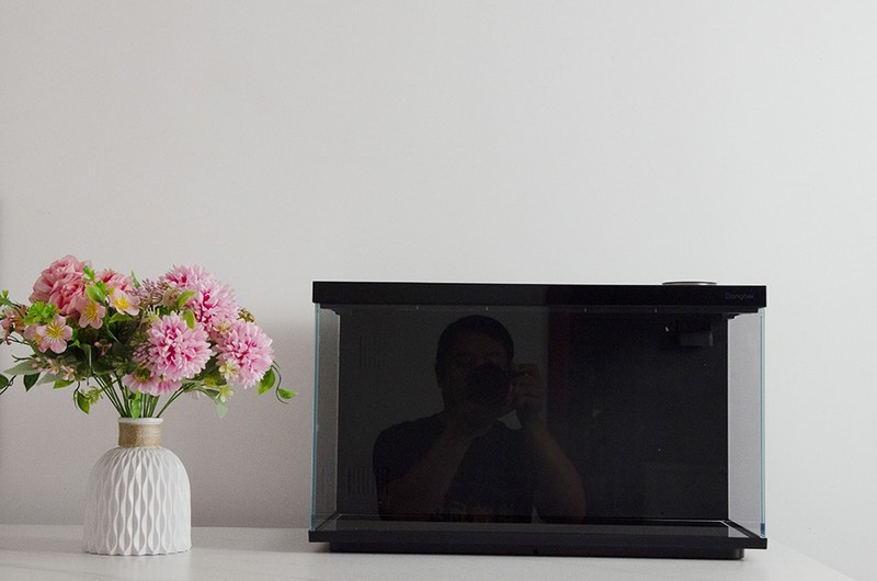 原来鱼还可以这么养？当贝智能鱼缸1Ultra性能大揭秘