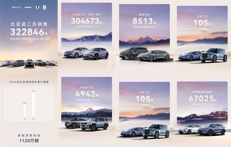 看到比亚迪交出史上最佳成绩单，感受颇深