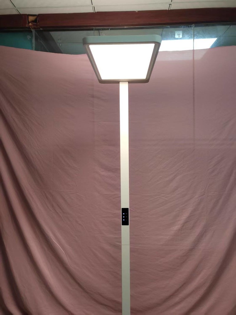 孩视宝大路灯哪个型号性价比高？书客、雷士护眼大路灯巅峰对决