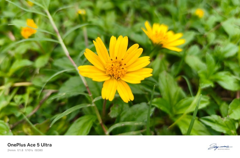 一加 Ace 5 至尊版评测：电竞三芯重构游戏旗舰标准