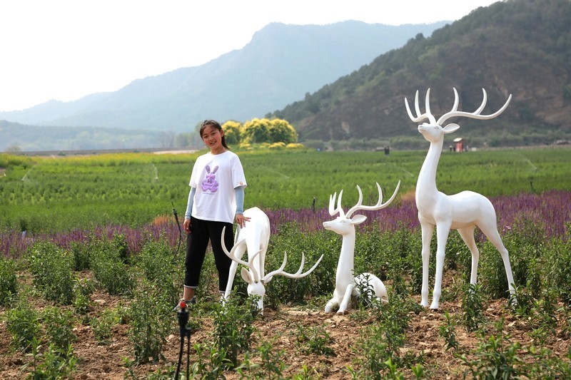 七孔桥拍萌娃（2）