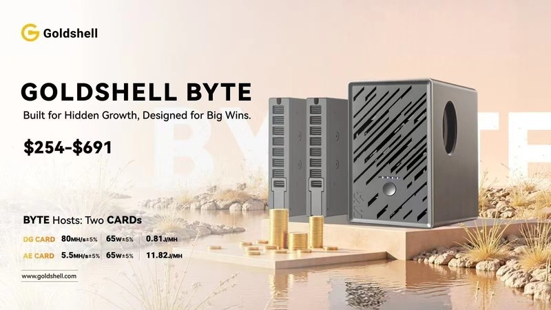 Goldshell金贝BYTE双蒜法静音小服务器，开启蒜粒应用新纪元