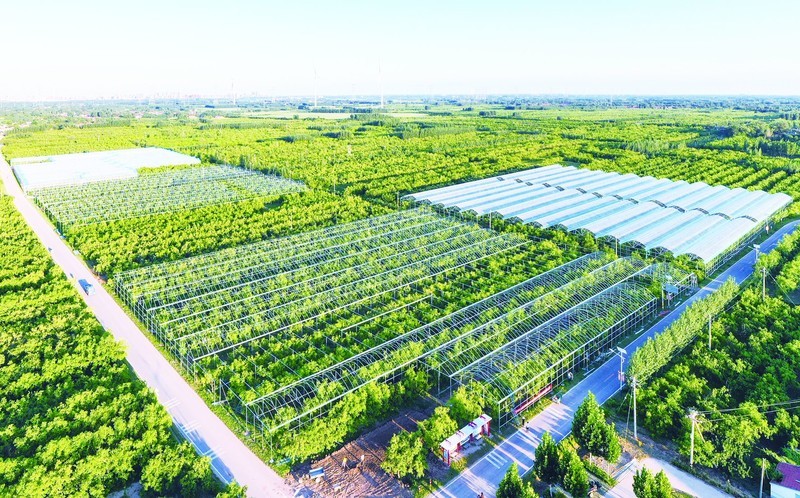 创新农业科技：边缘智能网关助力智慧大棚的发展