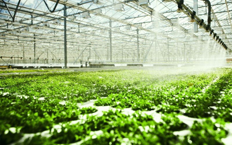 创新农业科技：边缘智能网关助力智慧大棚的发展