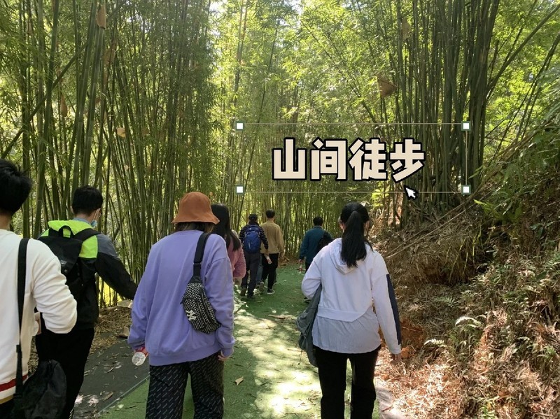 广州帽峰山生态园门票图片