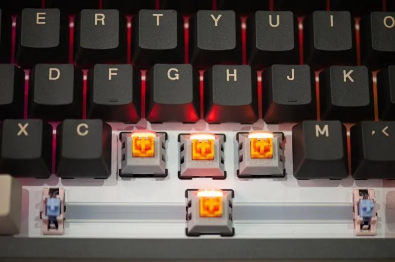 瑞翼鲨RAESHA金轴上手简评