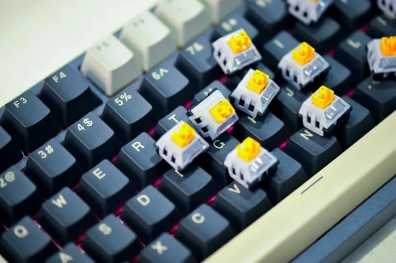 瑞翼鲨RAESHA金轴上手简评