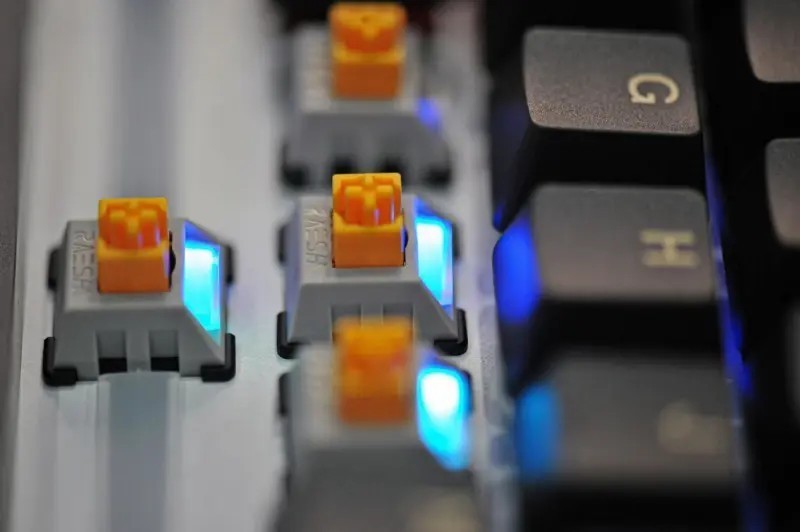 瑞翼鲨RAESHA金轴上手简评