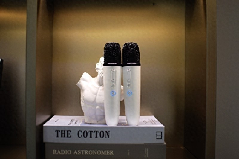 既要音质，又要娱乐，纯麦S3音浪N次方露营音箱为户外休闲加持