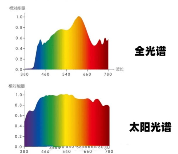 十大钢琴灯品牌怎么选比较好？钢琴灯品牌排行榜