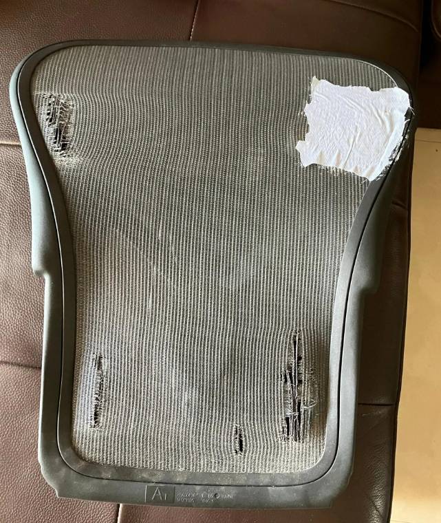 人体工学椅什么牌子好用？一文看懂人体工学椅哪个牌子比较好