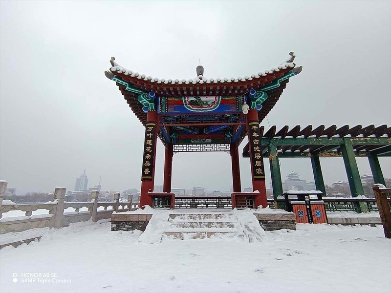 2000元价位手机如何选择？颜值性能我都要，荣耀60 SE给你标准答案