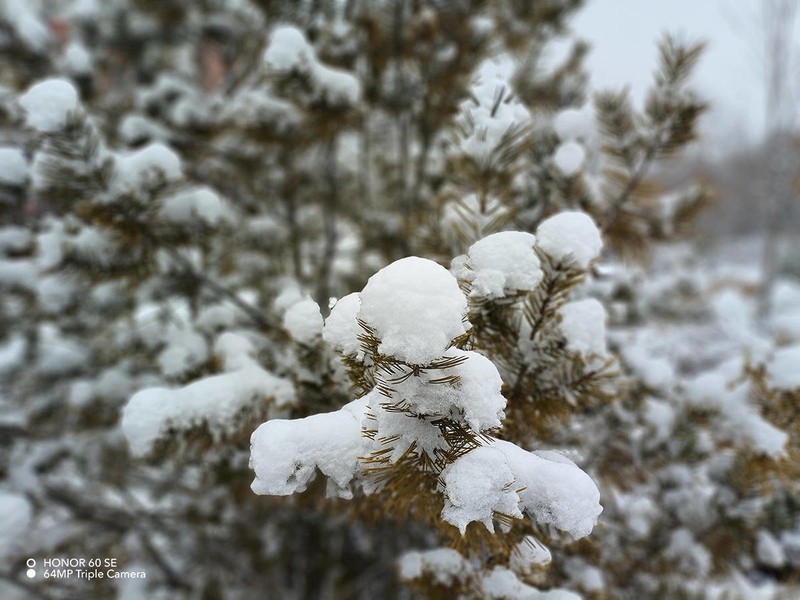 2000元价位手机如何选择？颜值性能我都要，荣耀60 SE给你标准答案