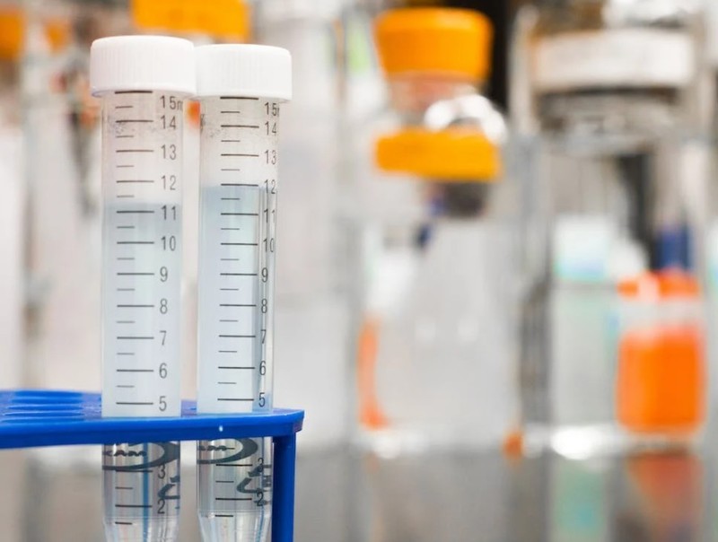 欧盟REACH的SVHC高度关注物质候选清单新增两项有毒物质。