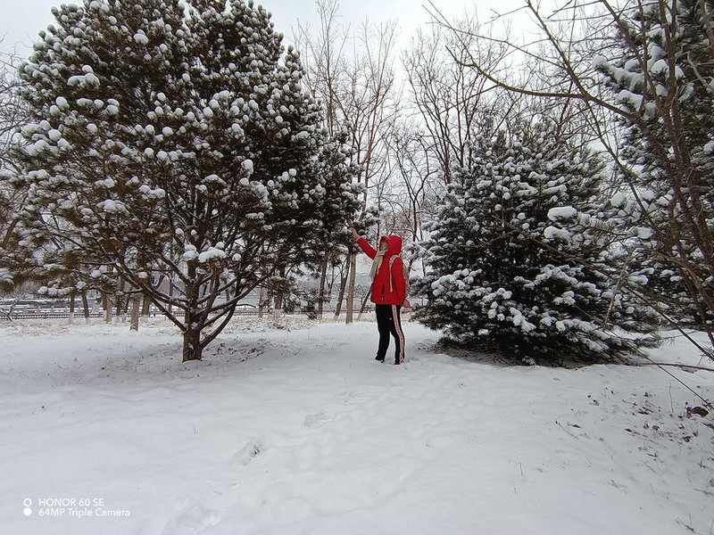 2000元价位手机如何选择？颜值性能我都要，荣耀60 SE给你标准答案