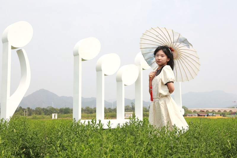 6.17七孔桥拍萌娃