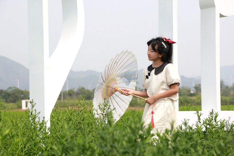 6.17七孔桥拍萌娃