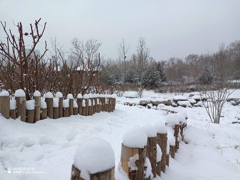 2000元价位手机如何选择？颜值性能我都要，荣耀60 SE给你标准答案