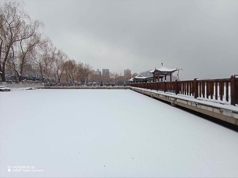 2000元价位手机如何选择？颜值性能我都要，荣耀60 SE给你标准答案