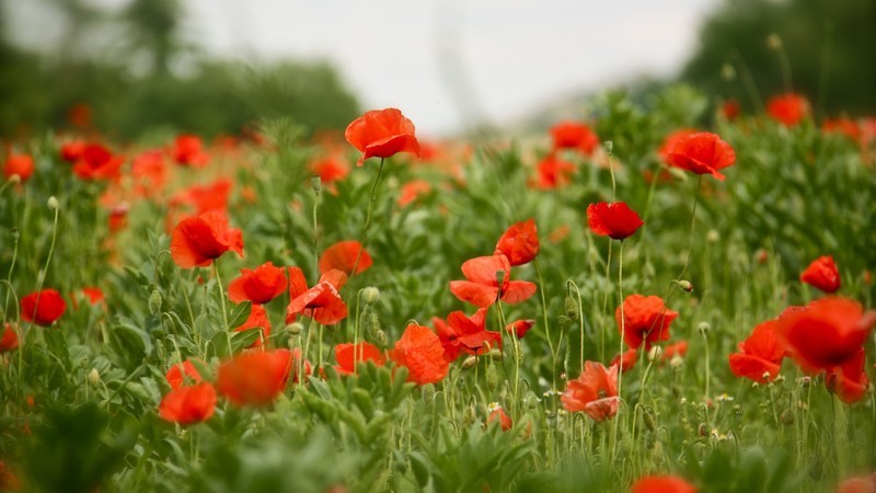 4000流明、四机同屏、双频双路Wifi，明基E592商务投影顶流之作？