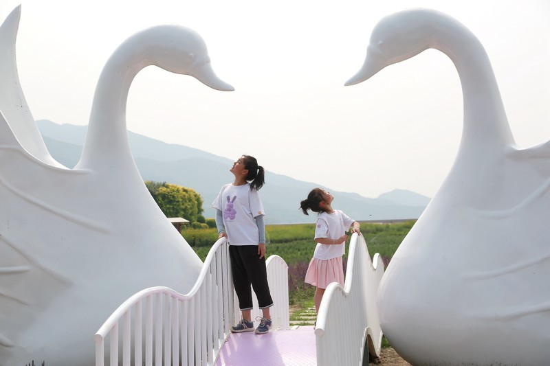 6.17七孔桥拍摄萌娃（2）