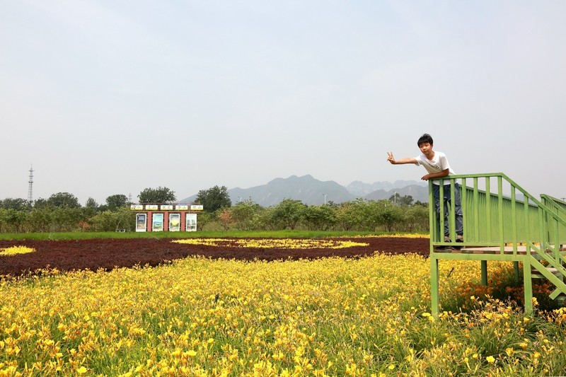 6.17七孔桥拍摄萌娃（2）