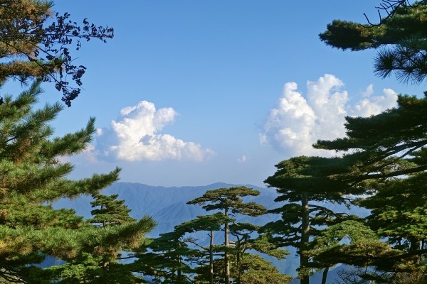 青春没有售价，黄山就在脚下。