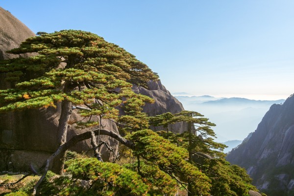 青春没有售价，黄山就在脚下。